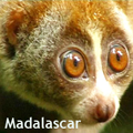 Madagascar : anecdotes, adresses.